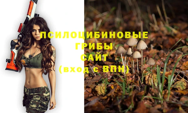 кокаин колумбия Бородино