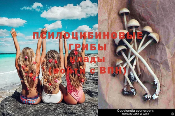 MDMA Premium VHQ Бронницы