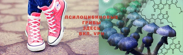 MDMA Premium VHQ Бронницы